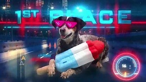 BarkBox TV Spot, 'Dog Fantasy'