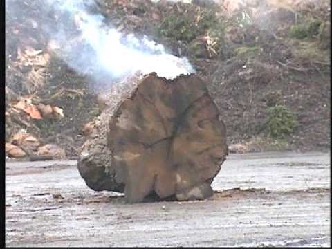 Exploding Log