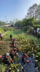 1.7M views · 10K reactions | The remarkable transformation of the canal after clearing out the weeds #saigonxanh #cleanuptheworld | Sài Gòn Xanh | Facebook