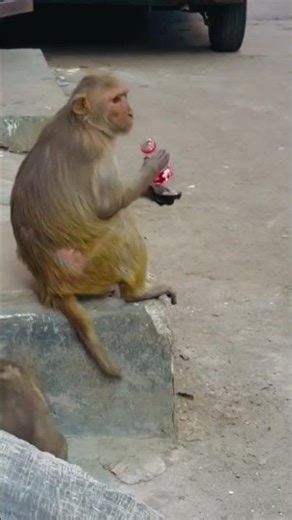 #shortvideo #love comedy 😂🌟😂 balma bada synoo coco cola🍷🍷🍷