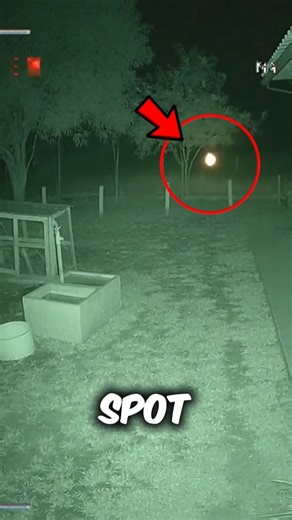 This 'Flame' Isn't a Flame... and That's the Scariest Part‼️😱