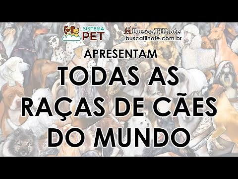 Todas as Raças de Cães do Mundo