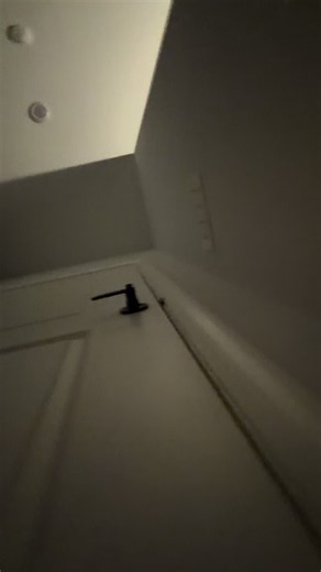 decided to see who's waiting for me behind the door #cat #fyp #catsoftiktok