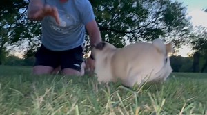 1M views · 110K reactions | I’ve missed you every moment since you...