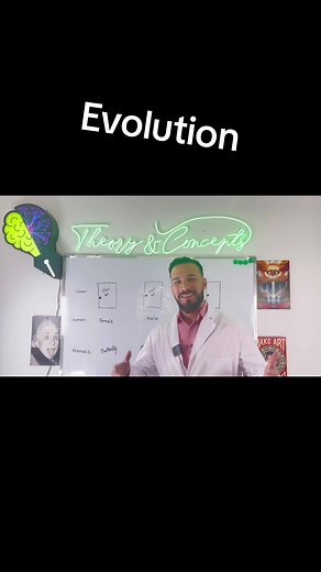 theorynconcepts on TikTok