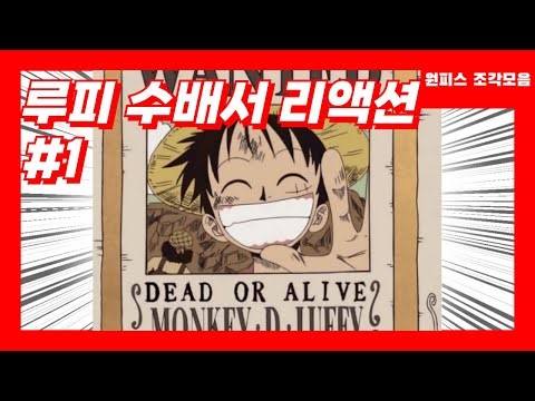 원피스 🥊루피 수배서 리액션 1편🥊
