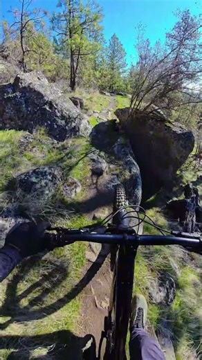 More rock than dirt on this trail!
