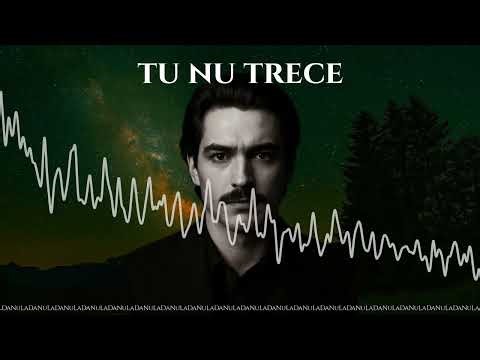 tu nu trece project - NuLaDa