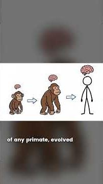 Your Brain Size Is Tied to Your Social Circle