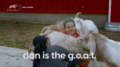 57K views · 1.2K reactions | See the stories behind these farm animal rescues at Barn Sanctuary. Saved by the Barn premieres Saturday April 11 at 10P on Animal Planet. | Animal Planet | Facebook