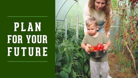 10 Pepper Seed Packs for Planting | Jalapeño, Serrano, Cayenne, Bell, Habanero, Cubanelle, & More – Hot & Sweet Heirloom Non-GMO Peppers Collection – Survival Garden Seeds