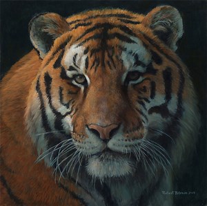 The paintings of Robert Bateman #WildlifeArt #CanadianArtists #wildlife | Robert Bateman