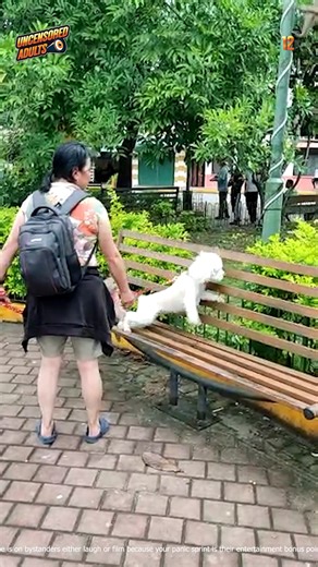 5.1K views · 65 reactions | Animals Decide To chase Human  | Uncensored Adults | Facebook