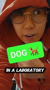 Meet the Adorable Pup in a Lab Coat #dog #science | vt.physics