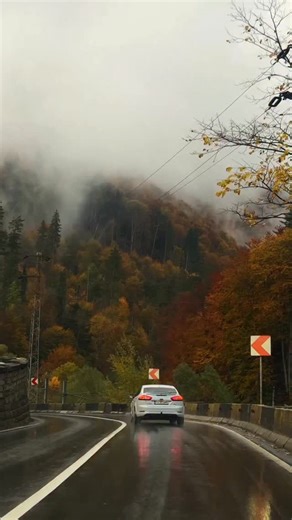 Do you ever feel the road breathing beneath you? In Prahova Valley, under a rain as thin as silk, the world unravels in shades of bronze and smoke. The car hums through the artery of the mountains, and every curve feels like turning a page in a book written by weather. The trees lean inward, conspiratorial, their leaves glistening like relics of a forgotten empire of summer. You move, yet something ancient in you stays still, watching, absorbing, remembering. Each kilometre here is a confession