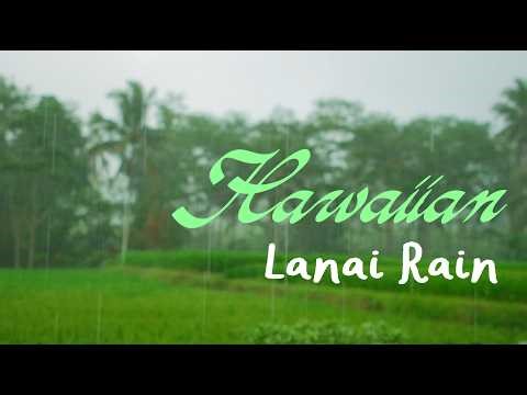 Hawaiian Lanai Rain | 1 Hour of Solo Slack Key Guitar on the Porch 🌺🌧️
