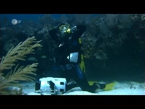 Female Diver out of air underwater