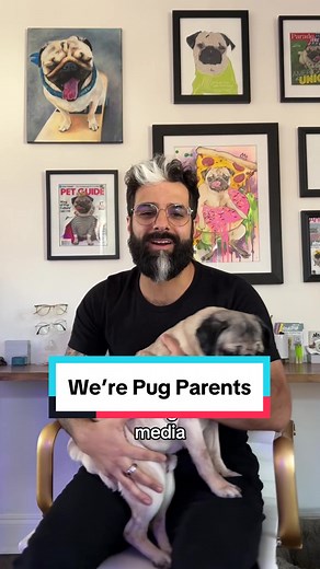 Pug Parents: Funny Pug Puppies and More!