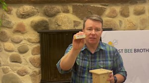 Best Bee Brothers Pine Turbo Trap, Professional-Grade Carpenter Bee Trap for Outside with Bee Vault & Internal Turbo Funnel, 6.3” W x 6” H x 5” D (4 Pack)