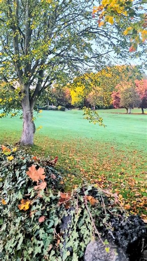 40K views · 421 reactions | Dreaming of the perfect winter escape? ❄️ Step away from the festive rush and discover the charm of Elsecar. Our peaceful Yorkshire village is brimming with character, from independent shops and cosy cafés to traditional pubs and scenic walks. All wrapped in the warmth of our welcoming town. Need inspo for your trip? Check out the comments!  | Visit Barnsley | Facebook