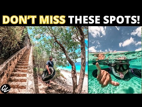 Where to SNORKEL on BONAIRE ISLAND 🤿 🏝️
