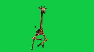 Download 3d cartoon giraffe animal dancing loop animation isolated on green screen background for free