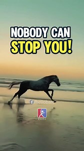 The beginning is always hard; once you start running, nobody can stop you. The same goes for IELTS preparation—once you gain momentum, there’s no stopping you. Just start! #IELTSPreparation #IELTSJourney #motivation_for_IELTS | British American Resource Center