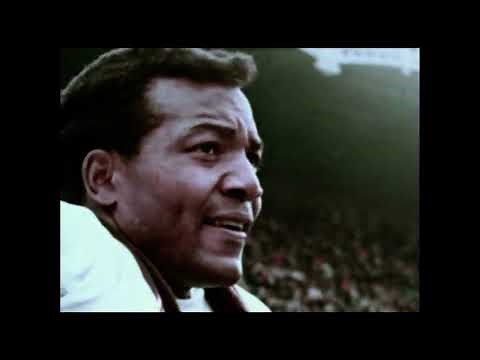 1965 NFL Team Highlights