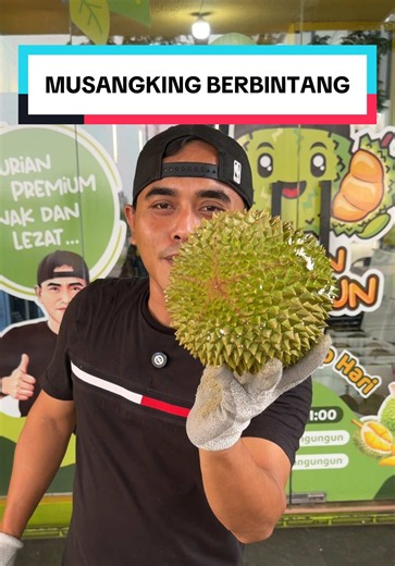 Durian Musangking Berbintang: Ciri, Rasa & Cara Pilih Terbaik