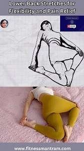 Lower Back Stretching Exercises for Flexibility and Pain Relief #lowerbackpainrelief #lowerbackstretch #stretching #flexibility #reelschallenge #fbviral #instareelschallenge | Fitness Mantram