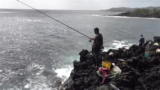 Sargo fishing Diplodus sargus | Sousa Jose