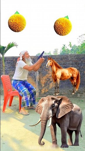Tiger, Lion, Horse & Elephant - Animals names magic video to leaf yellow kadambas rounding