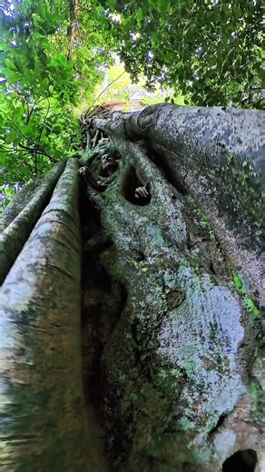 Vilem (@pinoy.x)’s videos with original sound - Vilem