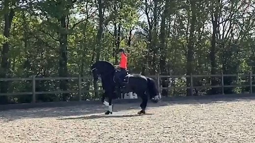 Dan Brown's 'mistress' with horse he allegedly 'gifted her'