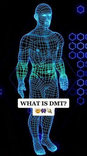 Terence McKenna DMT: Exploring Another Dimension