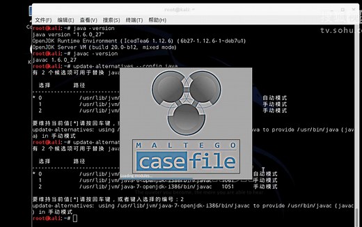 update-alternatives命令Linux典藏大系第2版增补视频