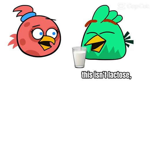 My Angry Birds OC's Dynamic in a Nutshell
