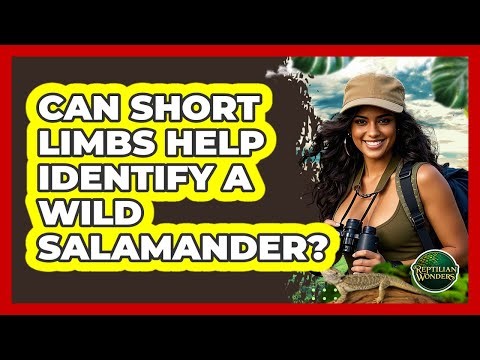 Can Short Limbs Help Identify A Wild Salamander?