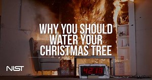 Christmas tree fire: watered tree vs. dry tree