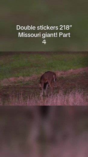 New world record typical whitetail? #outdoors #record