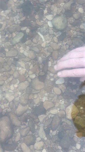 .. and the river captures another soul | Flint Spall LLC