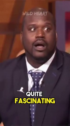 33K views · 1.6K reactions | Lowland Streaked Tenrec | The Hedgehog Impersonator #wildlife #wildlifeconservation #animalreels #tenrec #hedgehog | Wild Heart | Facebook