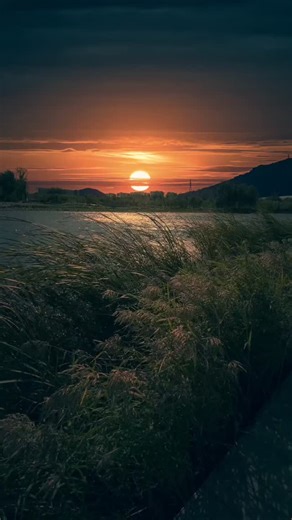 Nature Cozy Vibe on Instagram: "Immerse yourself in the beauty of this golden sunset! 🌅 Tall grasses sway in the breeze as the sun dips below the horizon, painting the sky in warm hues. 🌾 Let this tranquil scene bring you a sense of peace and wonder. ✨ #sunset #goldenhour #nature #landscape #beautiful #peaceful #tranquil #grass #sky #lake #reflection #photography #travel #art #warm #orange #serene #amazing #naturelover #golden"
