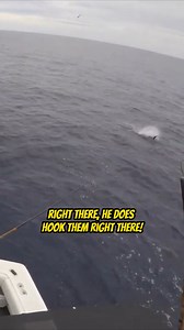 9.5K views · 51 reactions | Hundreds of Striped Marlin! Intense...