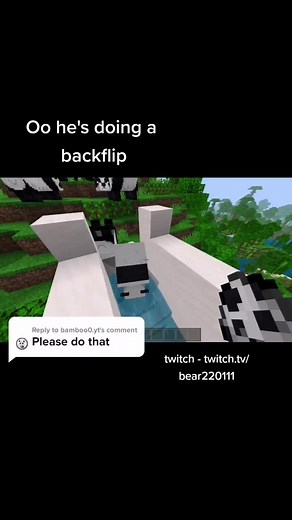 Prototype Panda Slide in Minecraft - Slide Mod Showcase