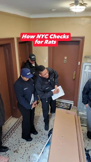 12K views · 134 reactions |  What do you do when you see a rat?The Code Enforcement team at the NYC Department of Housing Preservation & Development (HPD) ensures that residential buildings are safe to live in. Here I joined a team in Inwood to inspect a building and see how they inspect a building for rats. Featuring Inspector Anthony Powell. | Urbanist Ariel | Facebook