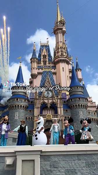 Mickey's Magical Friendship Faire Experience at WDW