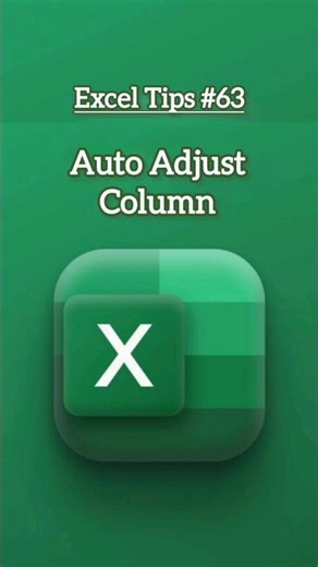 Auto - Adjust Column in Excel |