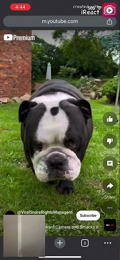 Paramount pictures / dreamworks animation / aardman animations (2006)