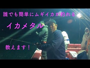 Squid Metal Mugiika Komatsumaru Explosive Fishing Method